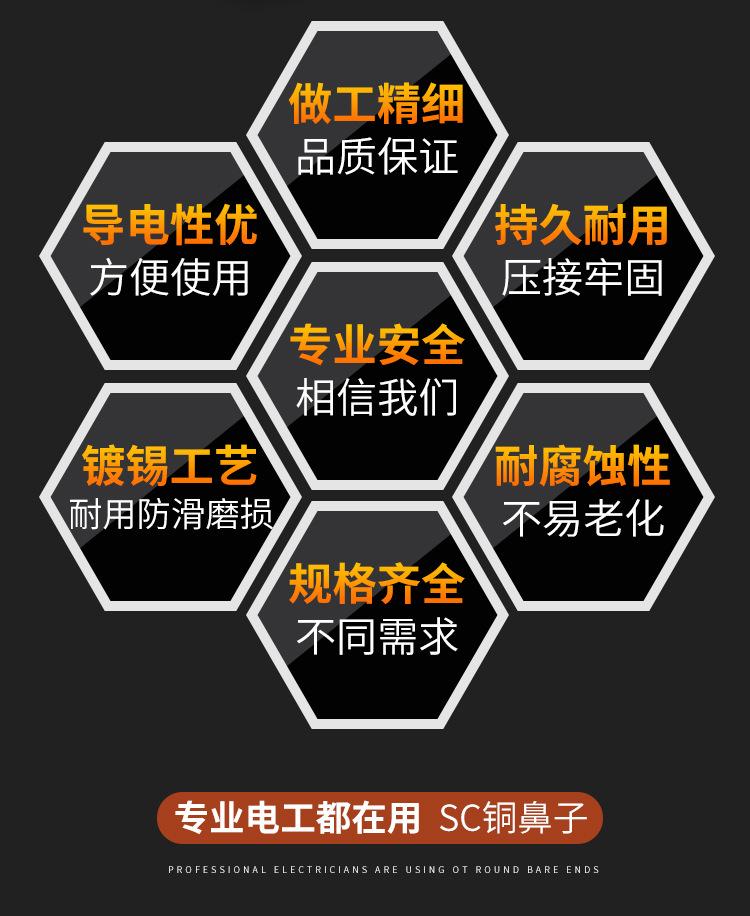 SC铜鼻子1_03.jpg