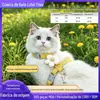 Coleira Arnês Personalizada Anti-Fuga Estilo Colete para Gatos e Cães Pequenos como Teddy, Arnês para Cães ao Ar Livre, Guia para Gatos Pet