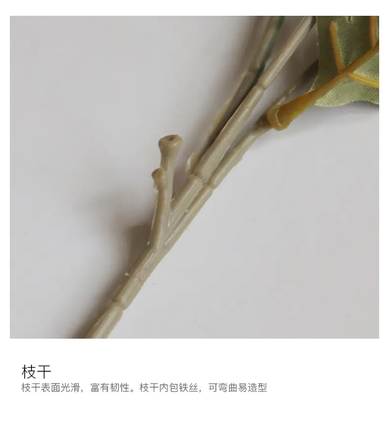 耶特里腊梅_13.jpg