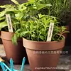 Señales de Jardinería de Madera, Etiquetas para Flores, Etiquetas DIY en Blanco Escribibles en Varias Formas, Etiquetas de Nombres
