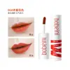Bobeini heroína labial barro mate mate labio mejilla doble uso rubor labial brillo de labios barato no fácil de desvanecer brillo de labios