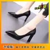 Zapatos de Tacón Alto Nuevos de Primavera 2025 para Mujer, Zapatos Profesionales de Mujer, Versátiles Punta Afilada Nude Cuero Suave Zapatos de Tacón Grueso Francés
