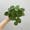 Planta Suculenta Artificial Folha de Antúrio Centella Asiática Mini Toque Suave Borracha Decoração de Casa Planta Verde Floresta Decoração Suave Planta Verde