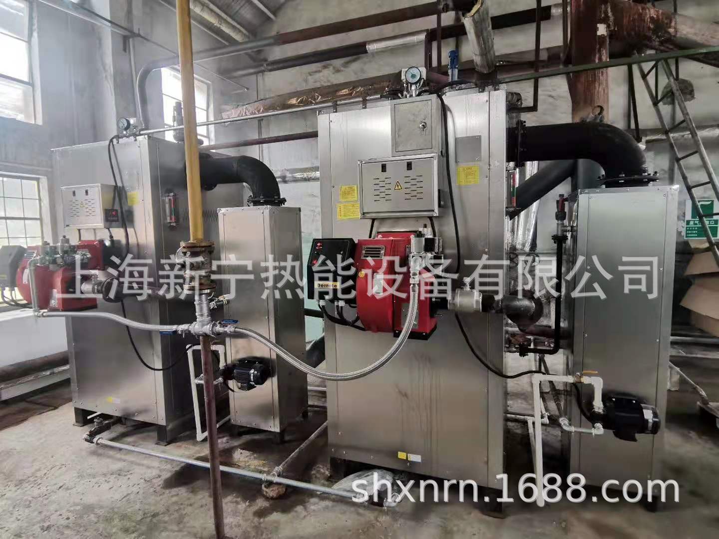 新宁燃油燃气蒸汽发生器 (4).jpg