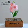 Flor Artificial Rama Corta Orquídea Mariposa Pequeña Boda Decoración del Hogar Adornos de Flores Artificiales Enchufe Suministros del Fabricante Flores Artificiales