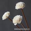 Fantasia série de frutas secas Mori combinação natural flor seca ramo real flor acessórios grama decoração de casa atacado