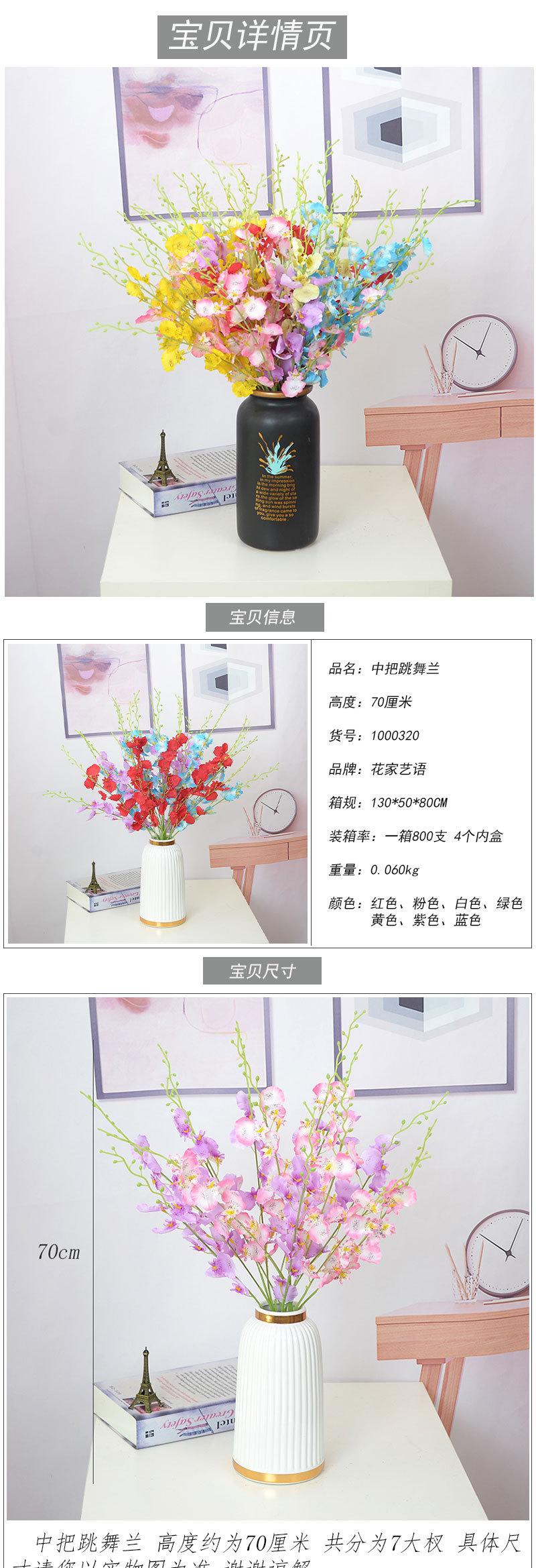 中把跳舞兰_01.jpg