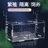 Caja de Incubación Científica para Crías de Tortuga en Lata Caja de Aislamiento Acrílico Estudiante Ovipositor Shougong Caja para Peces Pequeños Tortuga