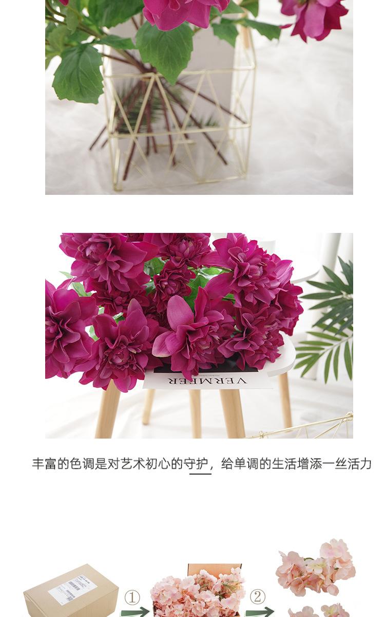 详情_18.jpg