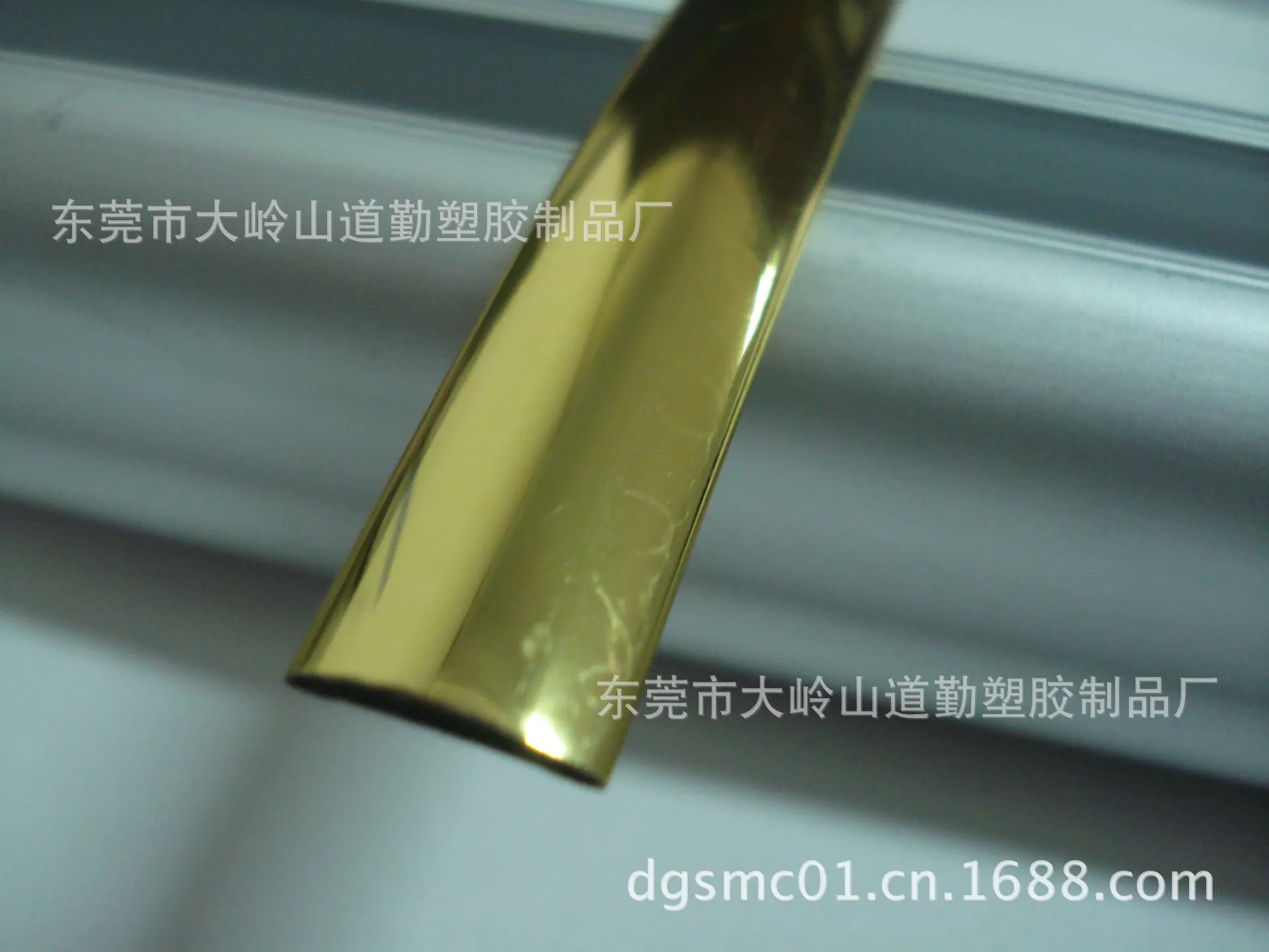 DSC03219