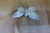Nuestra Fábrica Suministra una Variedad de Productos como Mariposas Simuladas, Mariposas de Plumas Simuladas, Etc. Hecho a Mano Puro Antiguo