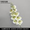Decoración de Flores Artificiales Verdes Material de Flores de Hoja de Manzana Flor Exterior Planta Verde Hermoso Arreglo Chen Simulación de Hoja de Tortuga Arte Floral para Boda