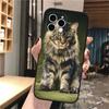 Capa de celular para iPhone 15 com vazamento lateral dominador de gato birmanês