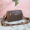 Bolsa Boston Nueva para Mujer Transfronteriza Celebridad de Internet Versátil de un Solo Hombro Cruzada Bolsa Almohada Bolsa Shiling Fábrica de Origen Venta al por Mayor