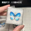 Venta Directa al Por Mayor de Fábrica de Especímenes Reales de Mariposas con Alas Extendidas, Diversos Insectos y Escarabajos, Accesorios para Fotos, Educación Científica, Especímenes Naturales