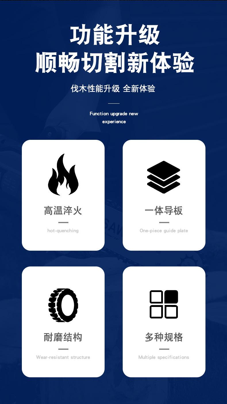 导板链条详情_02.jpg