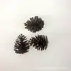 Piña Plástico Simulación Piña Decoraciones Navideñas Decoraciones para Árbol de Navidad Manualidades Navideñas Accesorios Accesorios para Manualidades