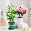 Dropshipping Jazmín Cabeza de Tigre en Maceta Hoja Redonda Interior Fácil de Cultivar Planta Floreciente de Cuatro Estaciones Pétalos Dobles Pila Vieja Gruesa