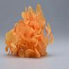 Hortensia Flor Seca Flor Eterna Material Flor Rosa Regalo de Navidad Ramo Hecho a Mano Hortensia de Madera 20g En Caja