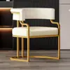 Silla de Maquillaje, Recepción de Salón de Belleza, Sillón Individual, Silla para Salón de Uñas, Silla de Comedor de Lujo Ligero para Mahjong, Otro Metal