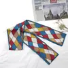 Fita Retrô Francesa, Simples e Versátil, Faixa de Cabelo Longa de Alta Qualidade, Lenço de Cabelo, Alça de Bolsa, Seda de Imitação Atacado
