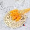 Coelho cauda grama buquê de flores secas flor material photo frame decoração diy material eterno flor rabo de cachorro grama atacado adereços de tiro