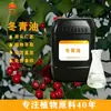 Fábrica de Especiarias Guoguang Salicilato de Metila Óleo de Gualtéria Uso Externo Adesivo Auxiliar de Tingimento Tinta Matérias-Primas Atacado Óleo de Gualtéria