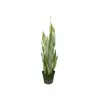 Orquídea Tigre de Jade Blanco Simulada en Maceta para Interior Sala de Estar Planta Verde Simulada Bonsái Escritorio Maceta Pequeña Planta Simulada Personalización