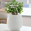 Maceta de cerámica de una pieza para el cabello, extragrande, ligera, de lujo, estilo Ins, de alta calidad, para el hogar, con flores carnosas de Phalaenopsis.