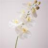 Flor artificial de alta calidad tacto Phalaenopsis decoración de habitación modelo para el hogar adornos de arreglo floral boda paisajismo flor falsa de plástico