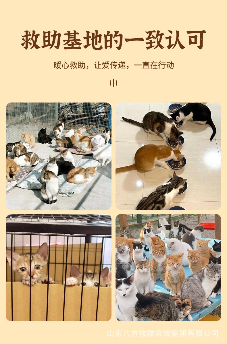 流浪猫粮详情页_11.jpg