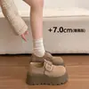 Zapatos de plataforma retro estilo francés para mujer, nueva colección primavera/otoño 2026, versátiles con vestidos, zapatos Mary Jane de suela suave