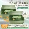 Acondicionador Mascarilla Capilar Esencia de Trigo Zhanghua Mejora el Daño por Permacentes y Tintes, Alisa el Frizz y Repara la Sequedad