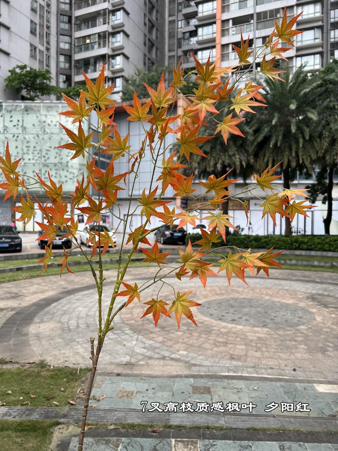 微信图片_20240904193020_副本