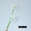 Tela de seda de alta calidad 2 cabezas Flor artificial Bianhua decoración del hogar arreglo floral de boda Flor falsa Bianhua