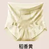 2025 Nuevas Lujosas Estilo Chino Nuevo Bordadas en Relieve Bordadas de Cintura Alta Longitud Extendida Cobertura Total Entrepierna de Seda Calzones para Mujer