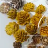 Pinha de Mori Fruta Seca Guirlanda de Rattan de Natal Bolota Flor Seca Lascas de Madeira Material de Decoração DIY Feito à Mão