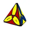 Cubo de Rubik Qiyi de segundo orden, tercer orden, cuarto orden, quinto orden, pirámide cuadrada, cinco Cubos de Rubik oblicuos, Hoja de Arce, zongzi, Cubo de Rubik SQX