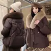 Moda de Inverno 2026 Versátil Casaco de Algodão Estiloso com Gola Grande de Pelo, Jaqueta Elegante de Algodão, Roupa de Exterior Solta Estilo Coreano