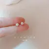 Pendientes Coreanos Pequeños y Exquisitos con Forma de Bolita de Perla Mini para Mujer 2026 Nuevo Estilo Elegantes Pinzas para Orejas de Celebridad de Internet Sin Agujeros en las Orejas