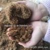 Moedor de palha de galho pequeno de Yunnan moedor de serragem madeira fazendo fungo comestível moedor de martelo
