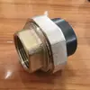 Accesorios para Tuberías de Agua Unión de Hierro Pe 20-110 Unión PPR Rosca Macho Rosca Hembra Conector de Fusión en Caliente de Doble Extremo
