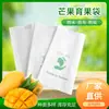 Atacado do Fabricante Impermeável Camada Dupla Bolsa para Cultivo de Frutas Manga Conjunto Saco de Papel para Frutas à Prova de Luz Jardinagem Bolsa para Cultivo de Frutas Manga Outros