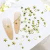 Acessórios para Nail Art com Rebite de Estrela de Cinco Pontas Transfronteiriços, Patches de Estrela Metálicos Vazados Dourados, Decorações de Unha Vestíveis, Acessórios para Unhas