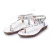 Sandalias bohemias populares de comercio exterior, chanclas para mujer, nuevos estilos de verano, zapatos planos florales, tacones bajos estilo coreano