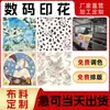 Impresión digital, procesamiento de tela personalizado, prototipado de patrones, faldas a cuadros Hanfu, ropa para muñecas, proyecto de graduación, impresión de tela para muñecas