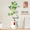 Planta de Murraya Paniculata en Maceta para Escritorio de Oficina, Planta Verde con Tronco Viejo y Plántulas, Florece Todo el Año, Flor de Interior Fácil de Cuidar para Jardineros Perezosos