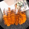 Aproximadamente 50 Piezas de Puntas de Plumas Azules y Blancas para Manualidades, Decoraciones de Plumas de Pollo Coloridas, Accesorios para el Cabello, Materiales Hechos a Mano para Atrapasueños, Directo del Fabricante