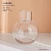 Jarrón de cristal transparente de lujo ligero con diseño de celebridades de Internet, flores secas para sala de estar, decoración creativa y sencilla con cultura del agua nórdica.