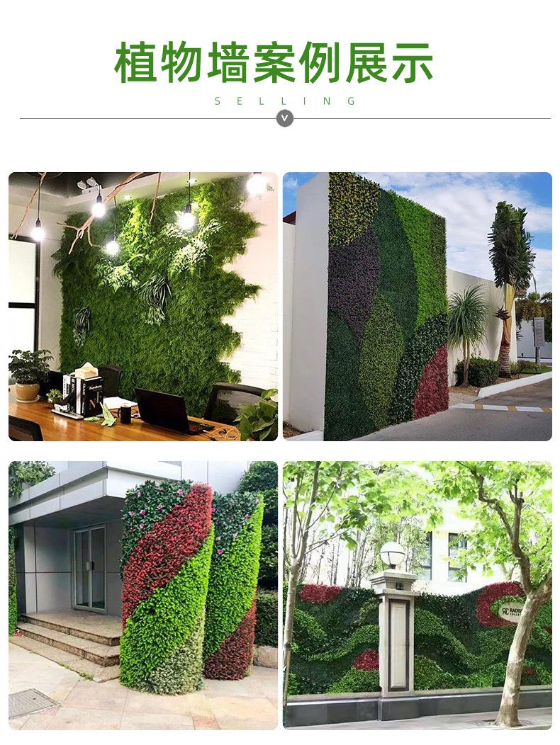 详情-2更改_08